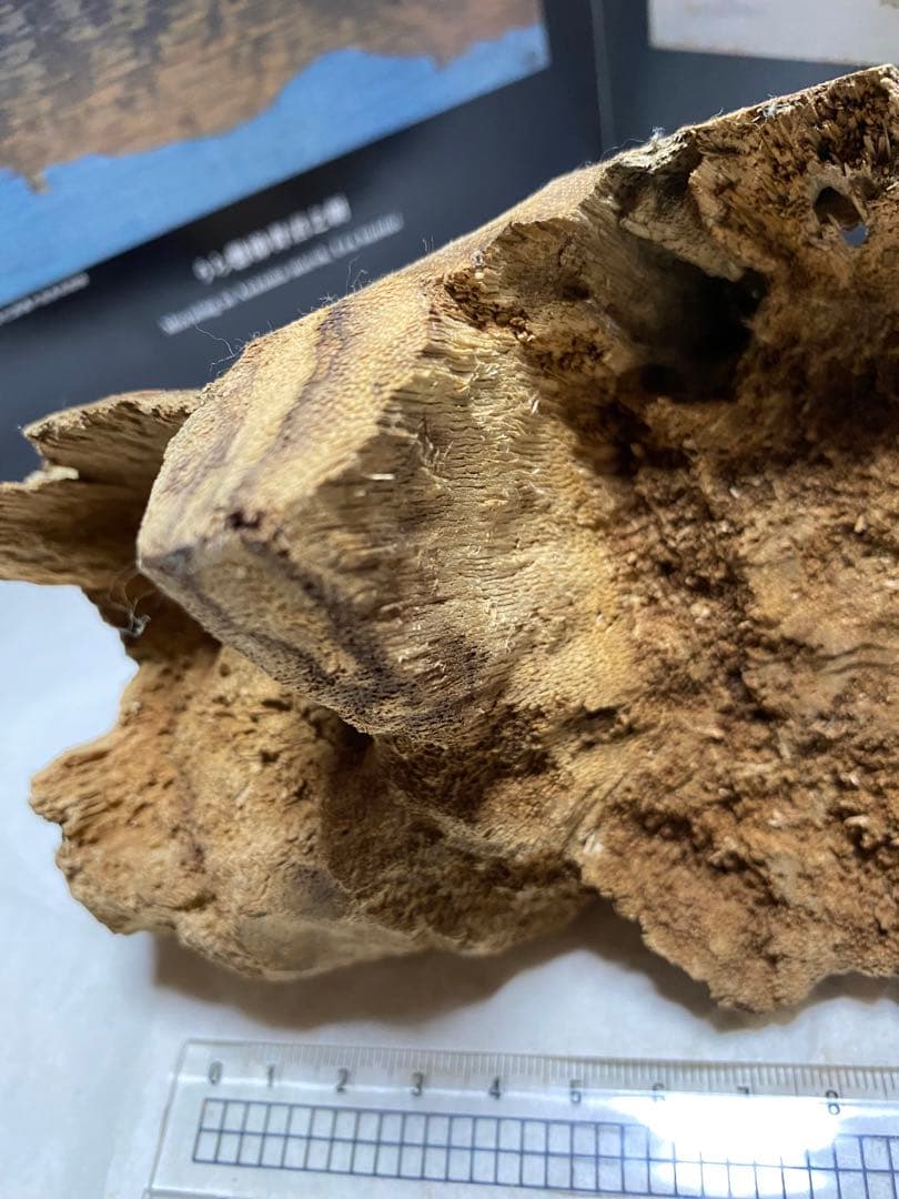 ベトナム産天然香木　希少良香馬蹄泥沈香162.7g 香道聞香用六国五味伽羅