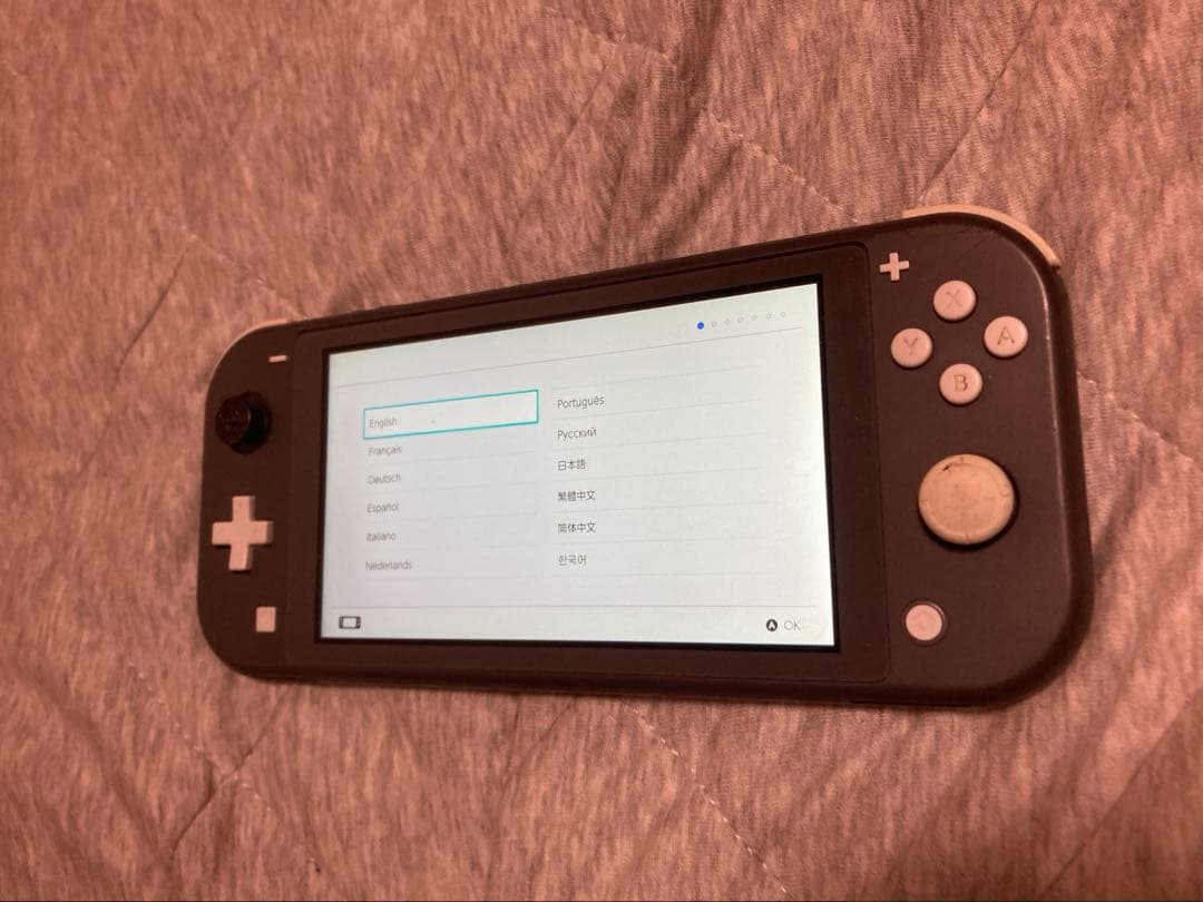 Switchライト本体　グレー