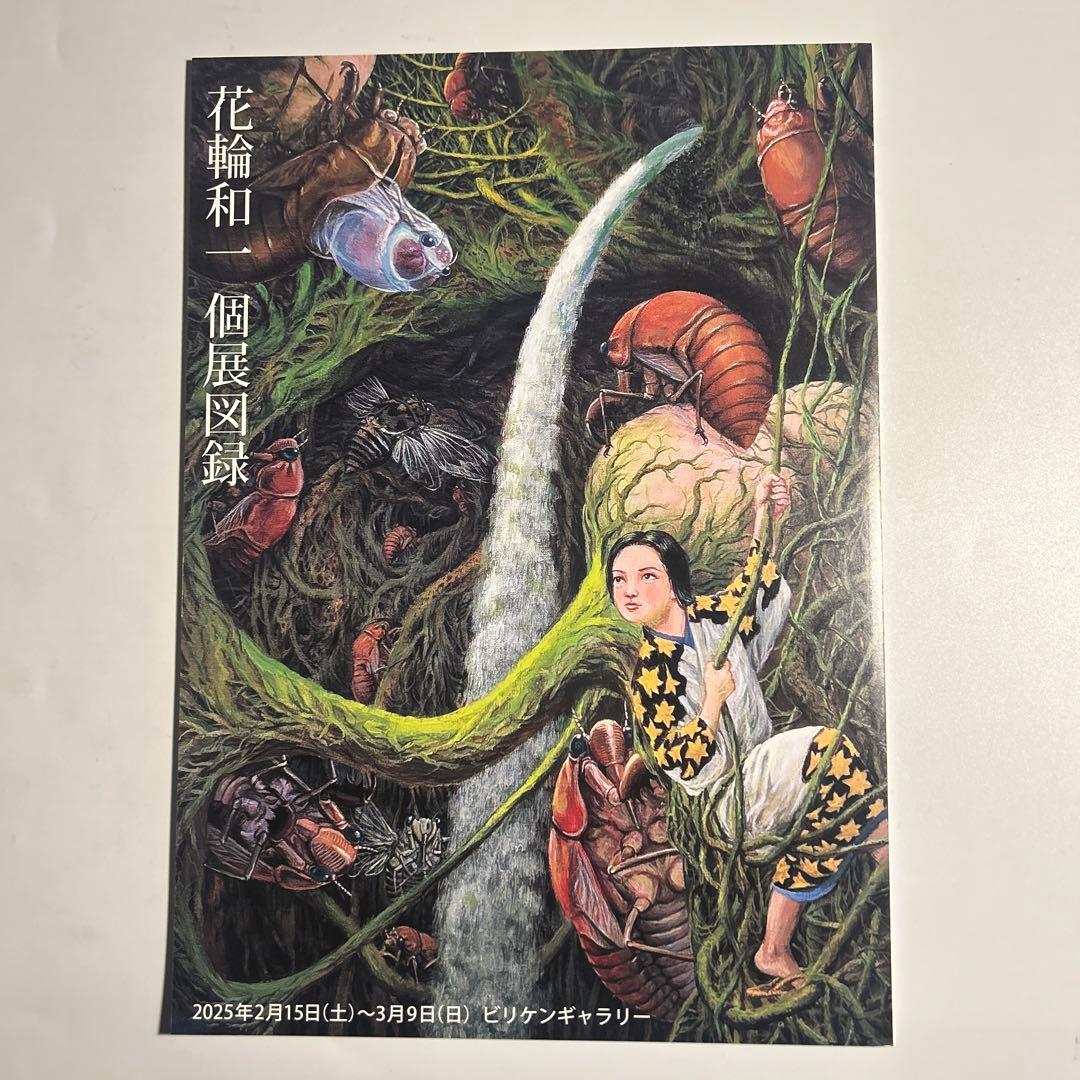 【新品未使用】花輪和一展図録