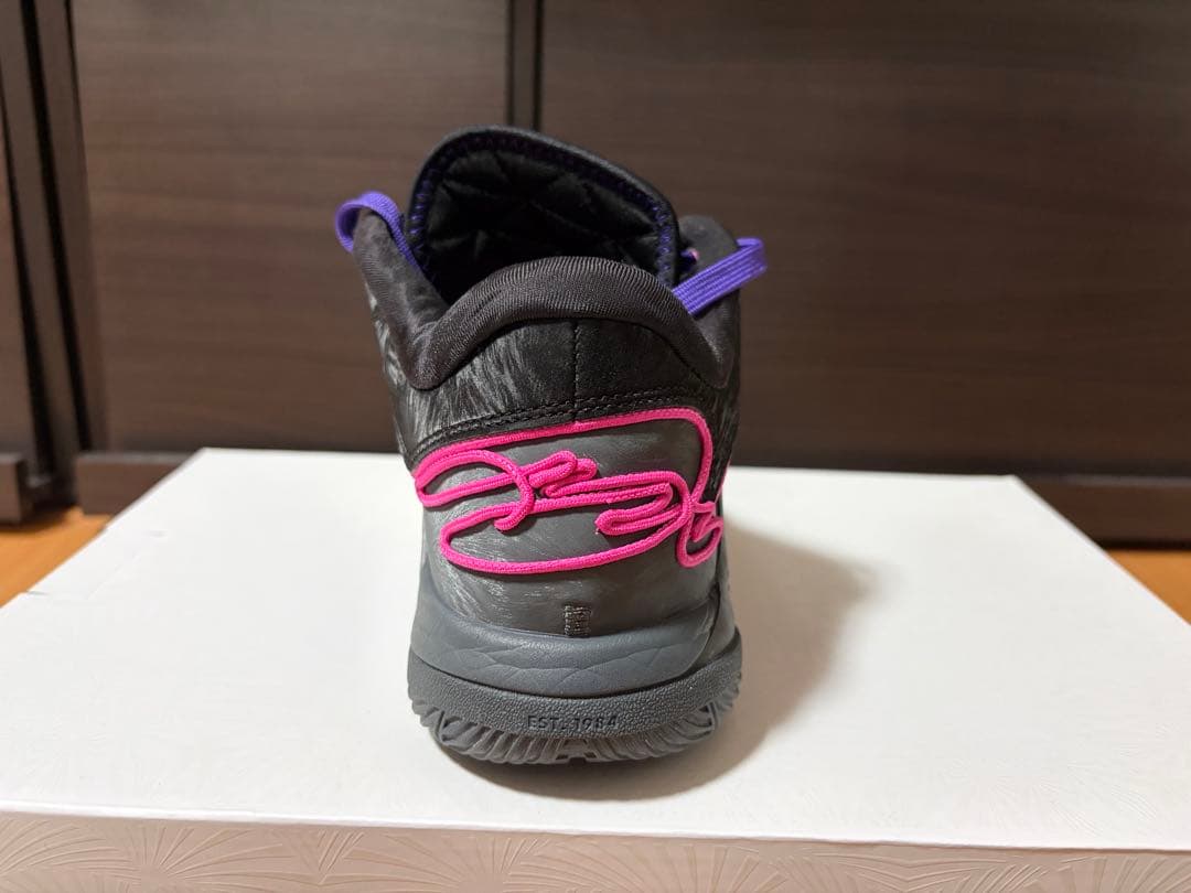 シューズ(男性用) Nike Lebron XXII EP 26.0