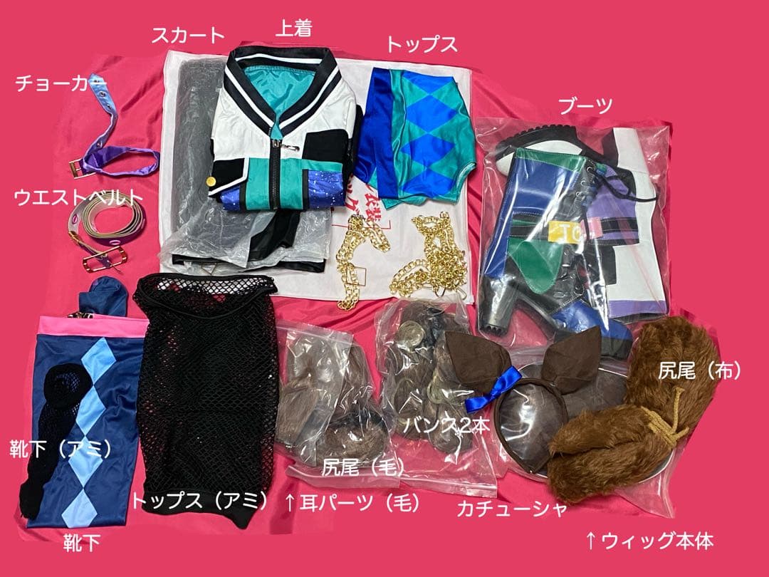 【ワケ有り】ウマ娘トーセンジョーダン　コスプレ