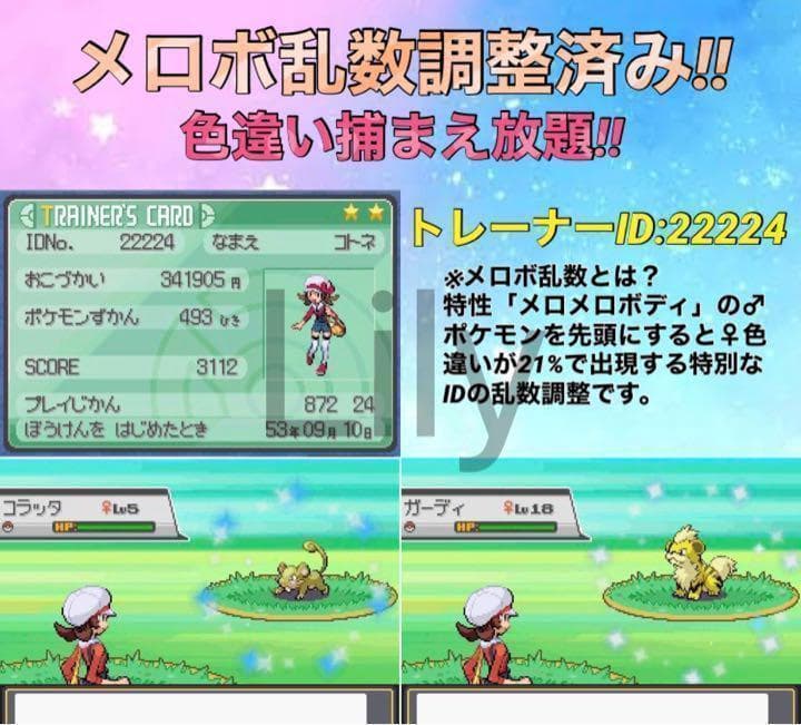 ポケットモンスター　ケース付き　ハートゴールド