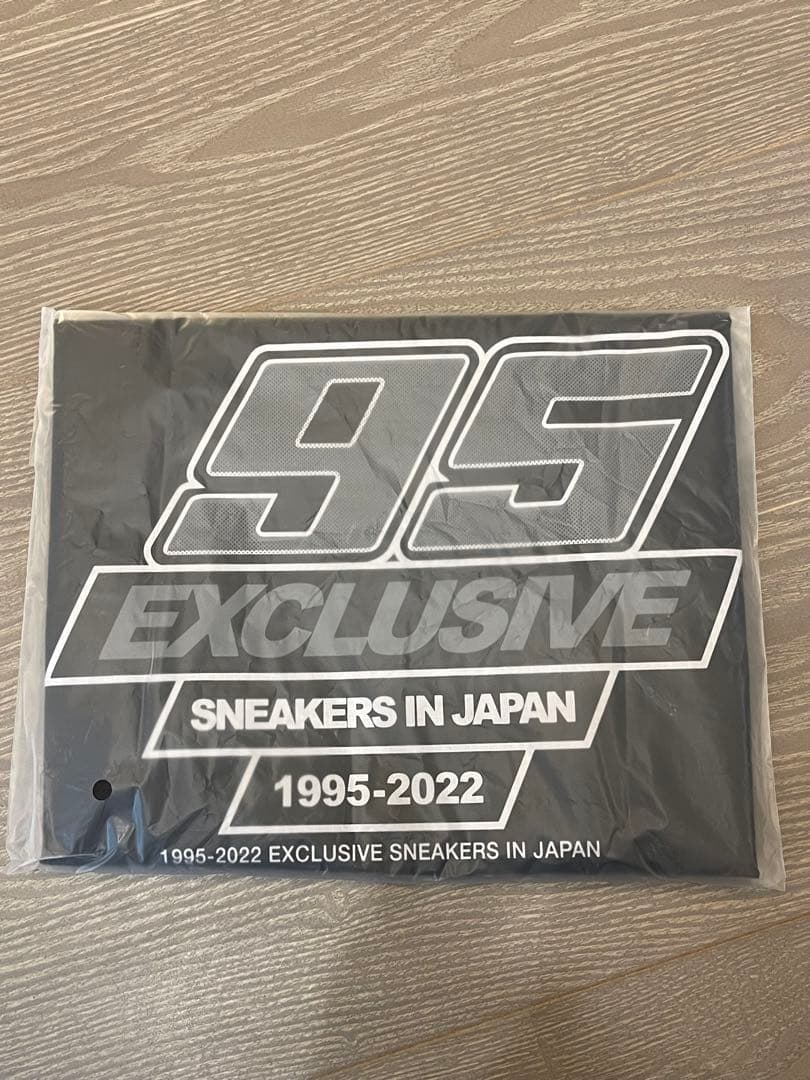 アート・デザイン・音楽 exclusive SNEAKERS IN JAPAN 95