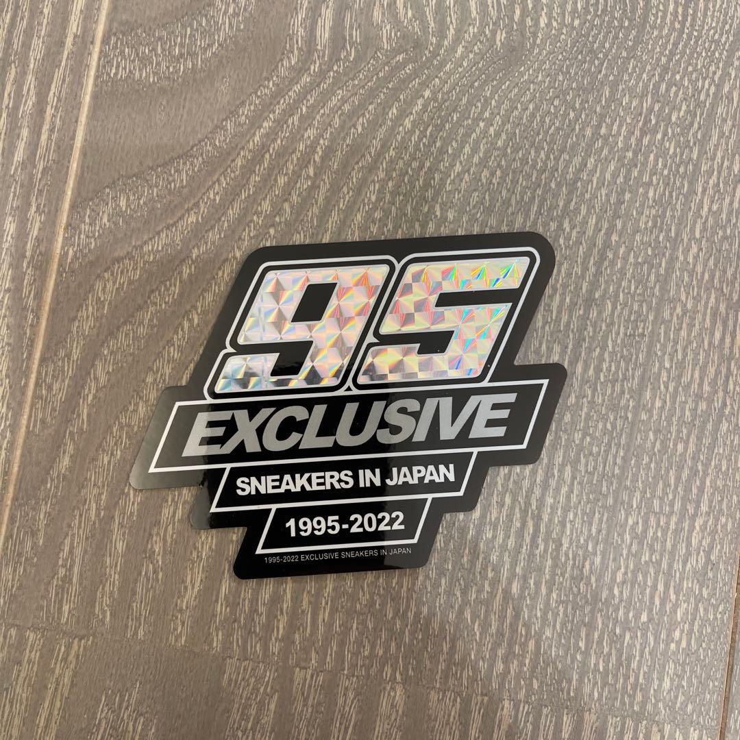 アート・デザイン・音楽 exclusive SNEAKERS IN JAPAN 95