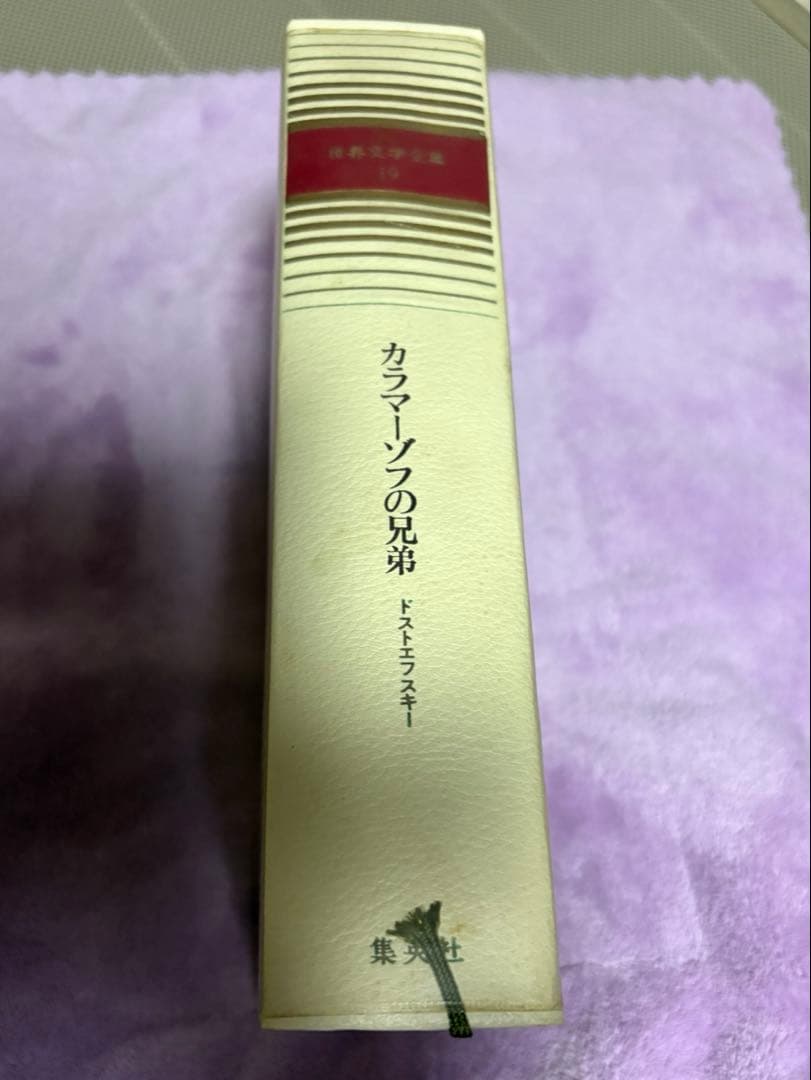 ❤️美品❤️集英社　世界文学全集 19　カラマーゾフの兄弟