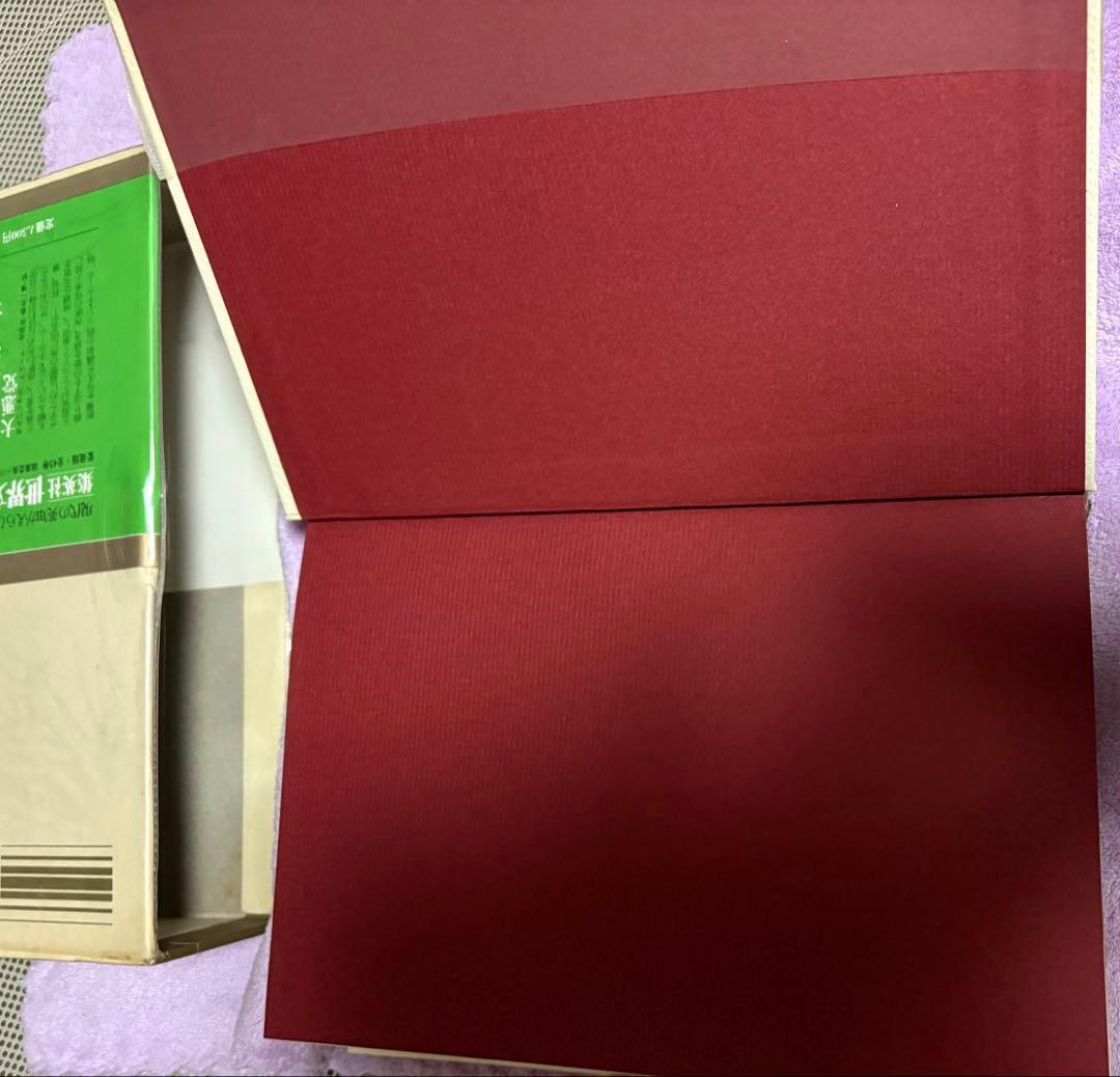 ❤️美品❤️集英社　世界文学全集 19　カラマーゾフの兄弟