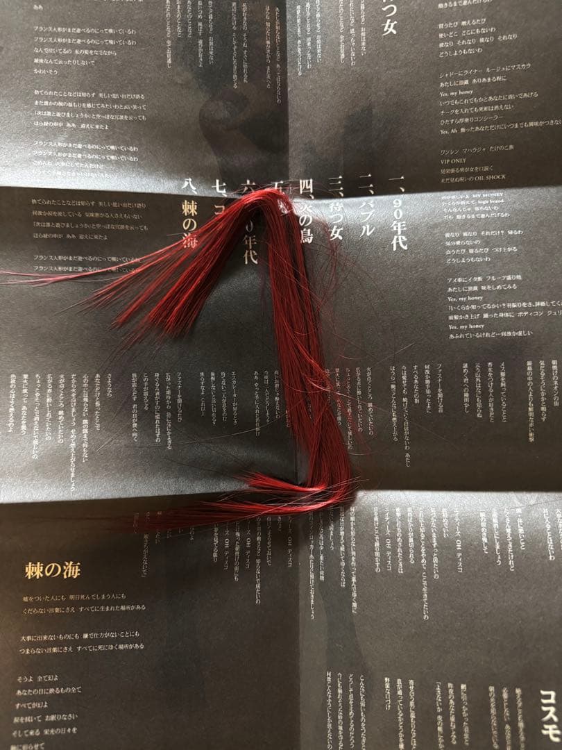 激レア★ 女王蜂　「魔女狩り」 廃盤　レア特典付き