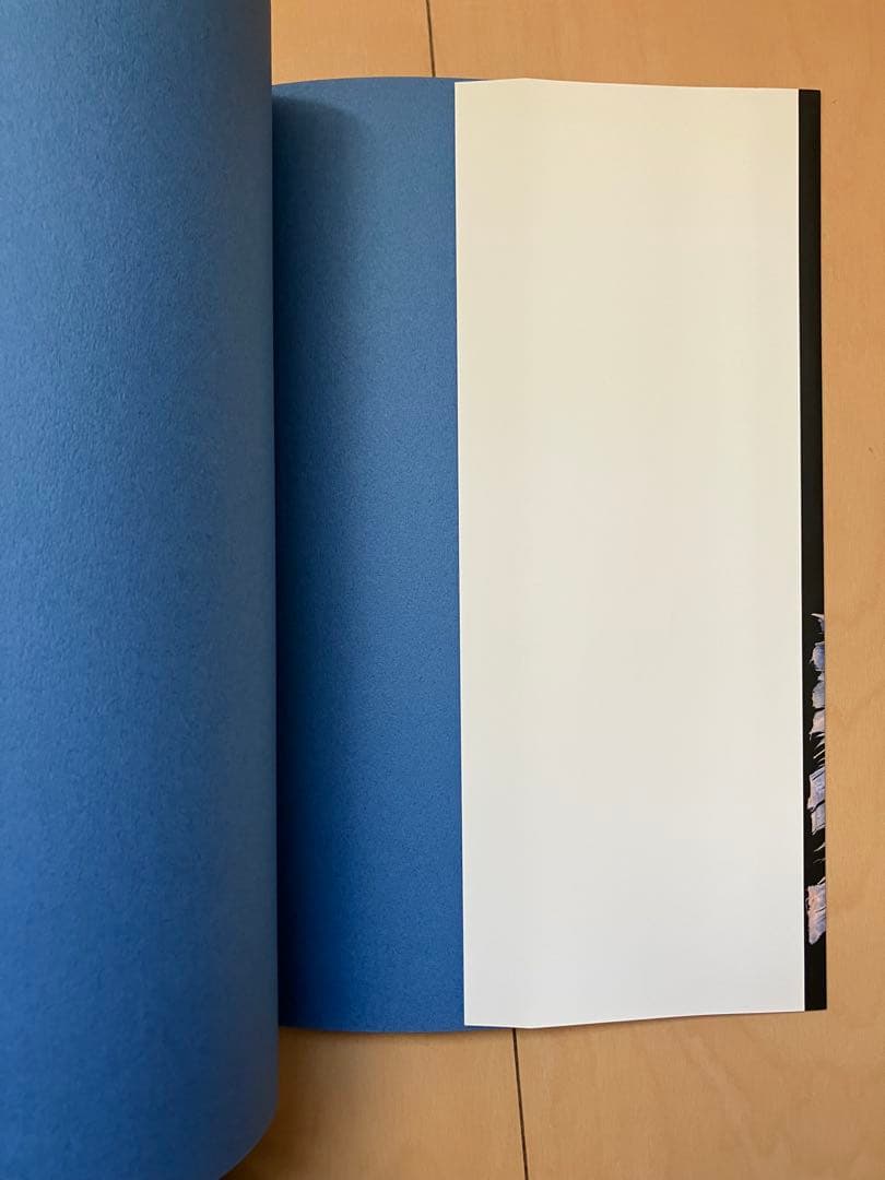 人体の骨格筋 上肢