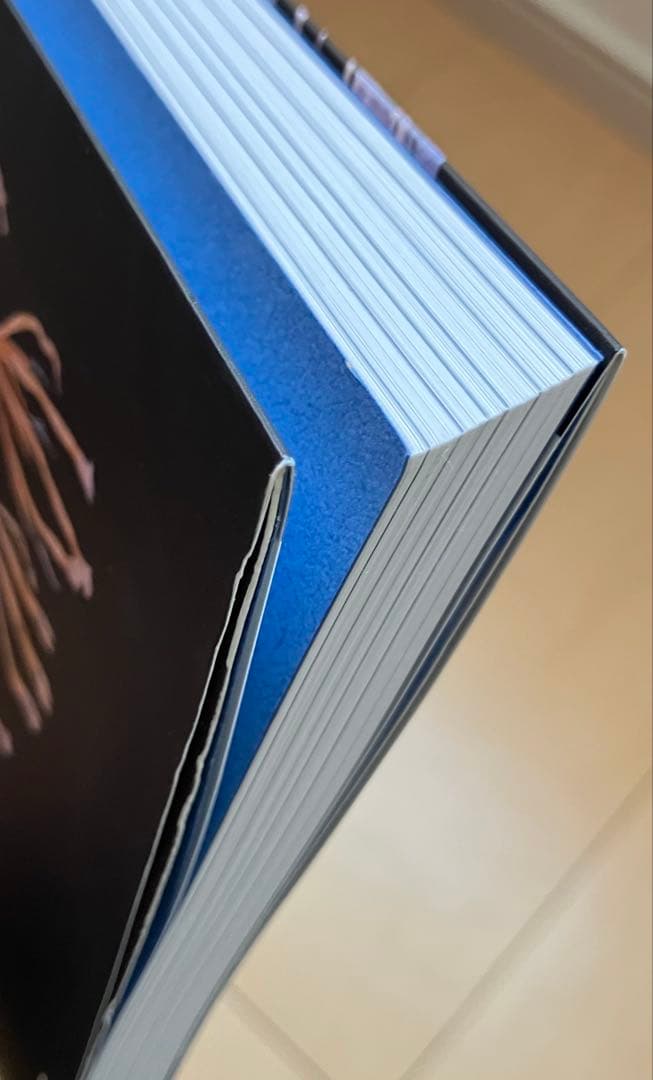 人体の骨格筋 上肢