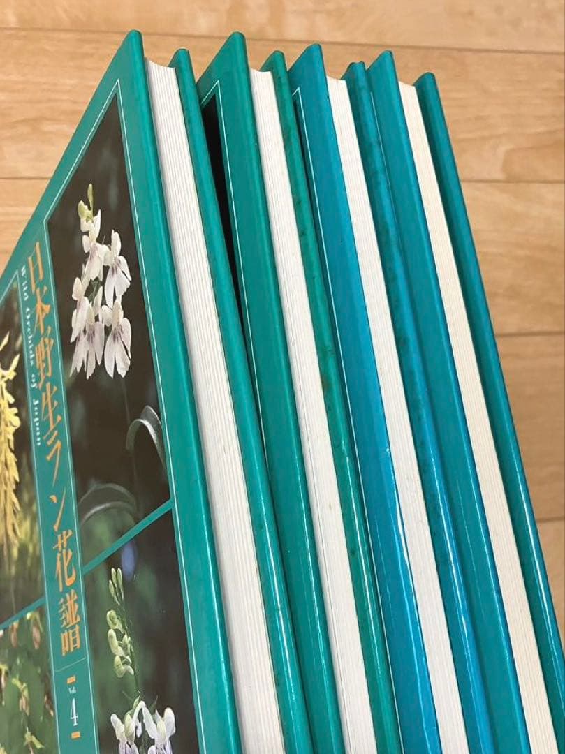 日本野生ラン花譜　全4巻　高橋勝雄　毎日新聞社　昭和62年発行