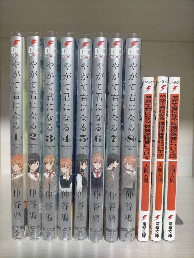 【超美品】ささやくように恋を唄う 1〜11巻＋やがて君になる 全巻