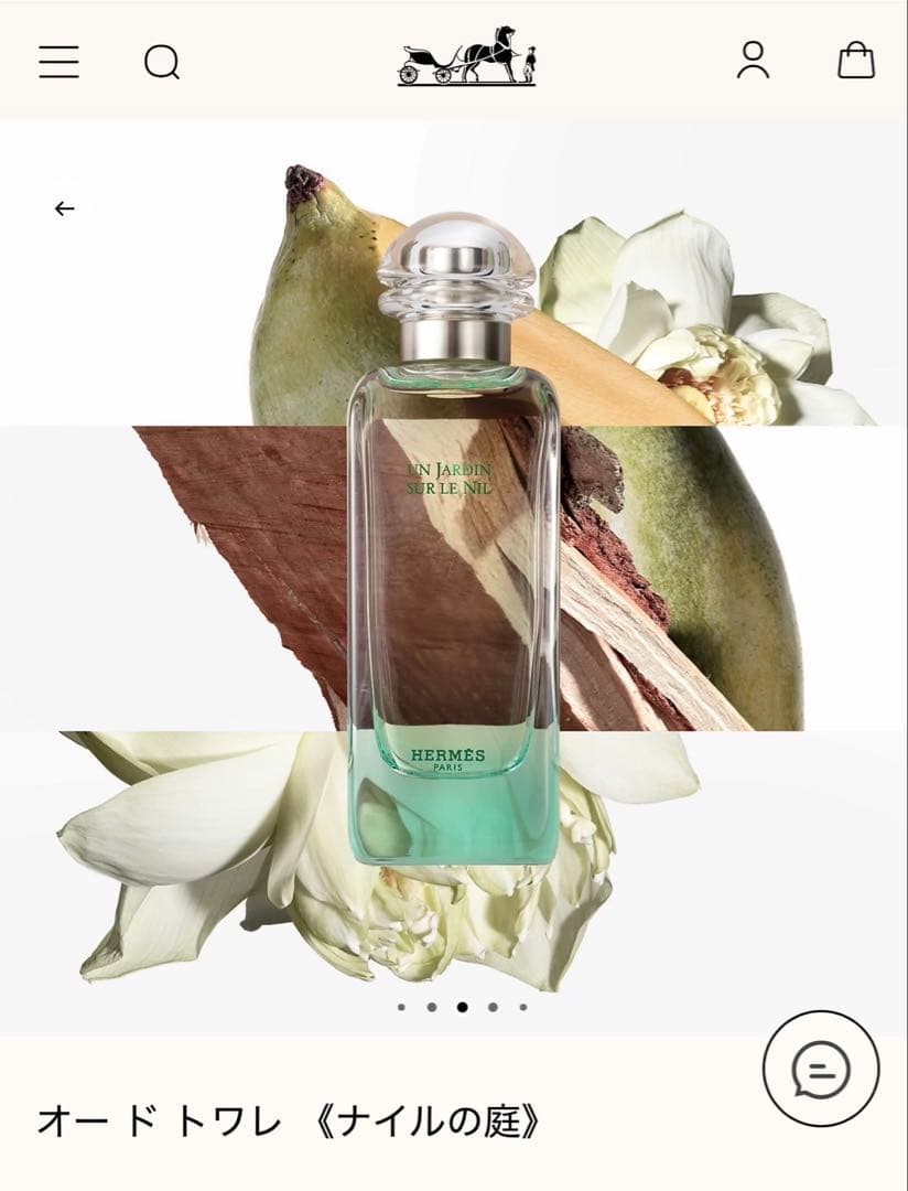 HERMES エルメス　ナイルの庭　オードトワレ100ml 新品未開封