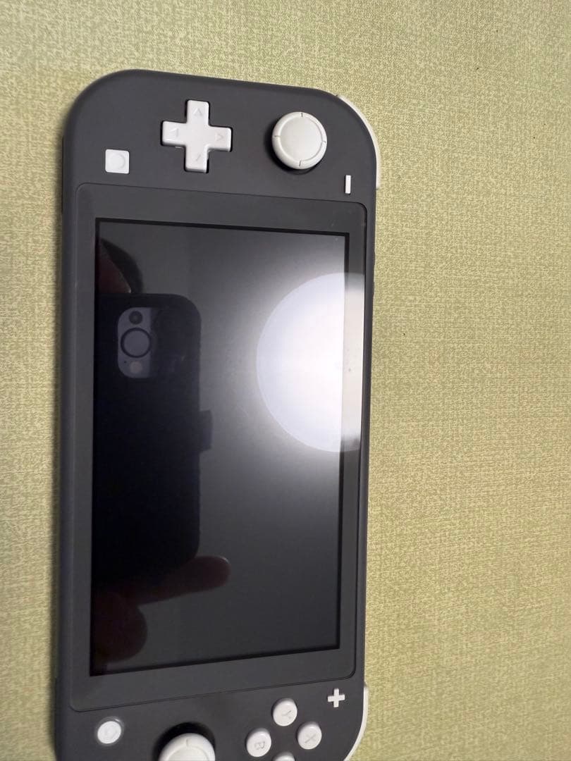 u*a様 Nintendo Switch Lite グレー 専用ケース付き