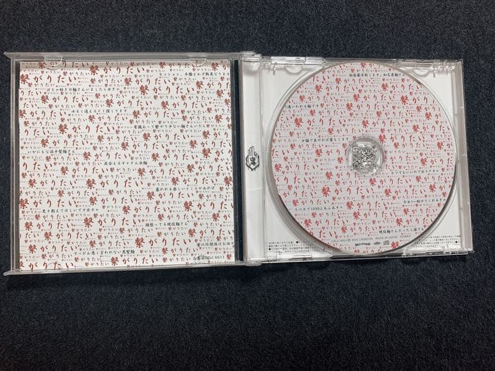 真天地開闢集団ジグザグ　繋がりたい　アルバム　当時物フライヤー付き(6枚目)