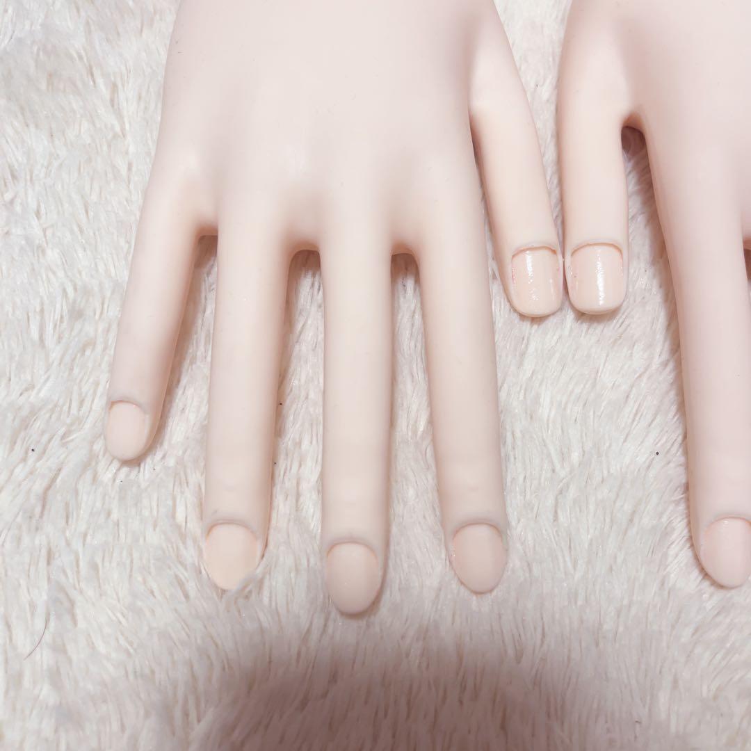 JNEC 認定 モデルハンド ネイリスト技能検定試験用 ST 右左 ネイルグルー