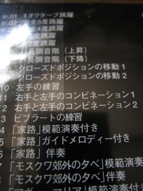 テルミンを弾く　竹内正実　初版　帯付き　CD付き