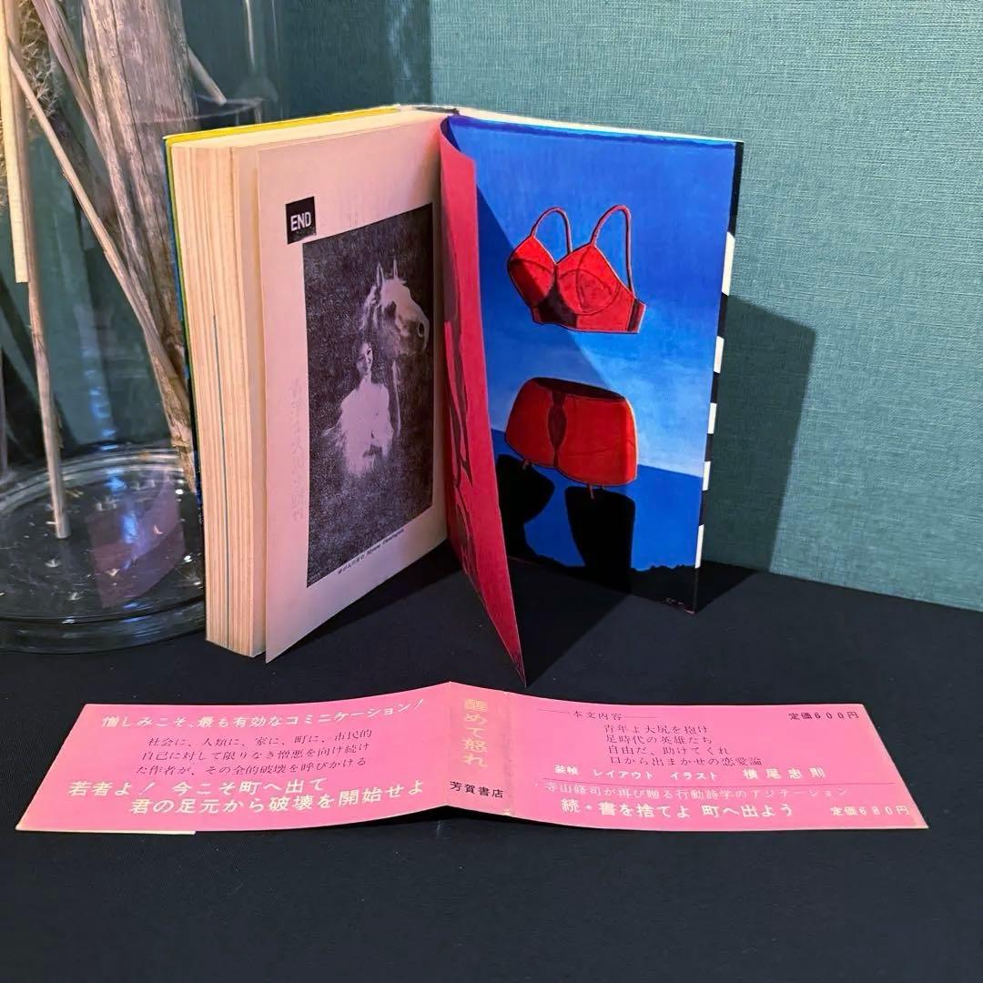 1972年出版 昭和47年【書を捨てよ、町へ出よう】寺山修司著 イラスト横尾忠則