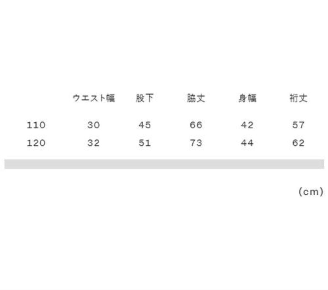 THE NORTH FACE ノースフェイス スノーワンピース 110