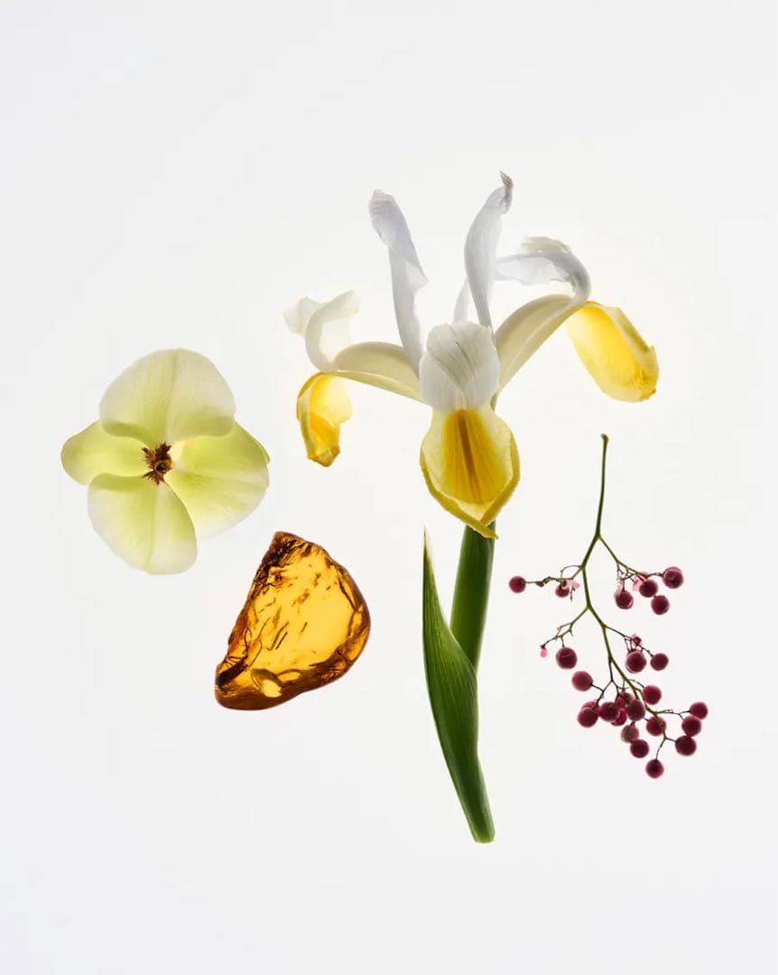 glossier 香水 glossier you 新品・未使用