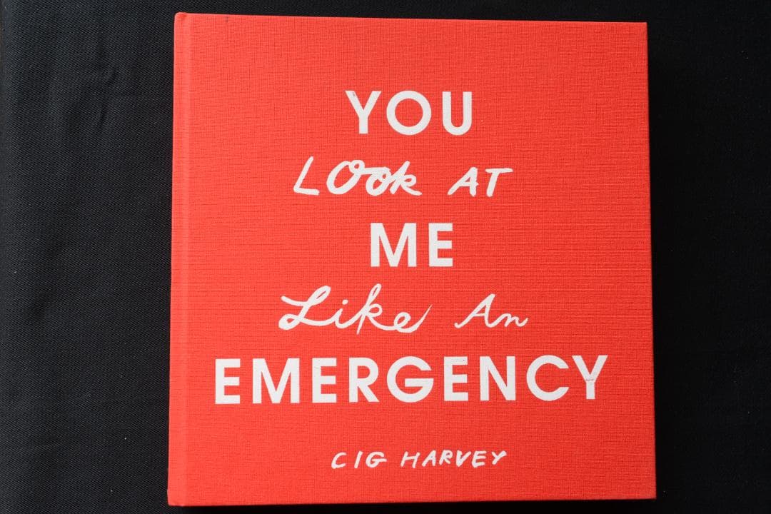 【Cig Harvey: You Look at Me Like an .. 】