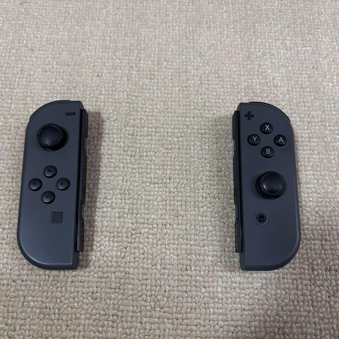 【SSさん専用】Nintendo Switch グレー 本体 ソフト付き