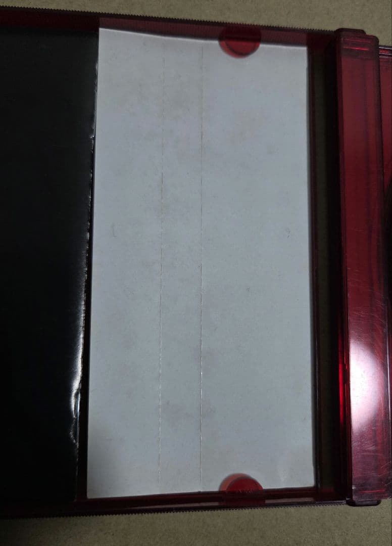 邦楽 JURASSIC LIVE THE WILD SIDE