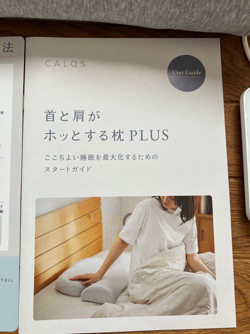 survaＱ　サバキュー　　CALQS