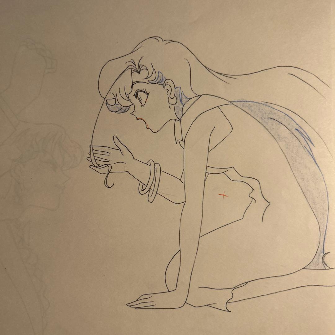 武内直子「美少女戦士セーラームーンsセル画＋動画2枚フィッシュアイタイガーズアイ