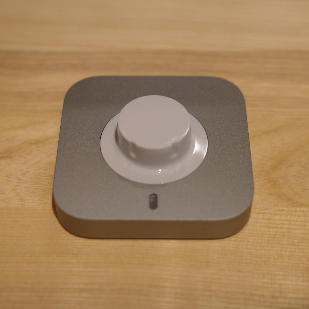 Oura Ring 4 / ブラッシュドシルバー / サイズ9