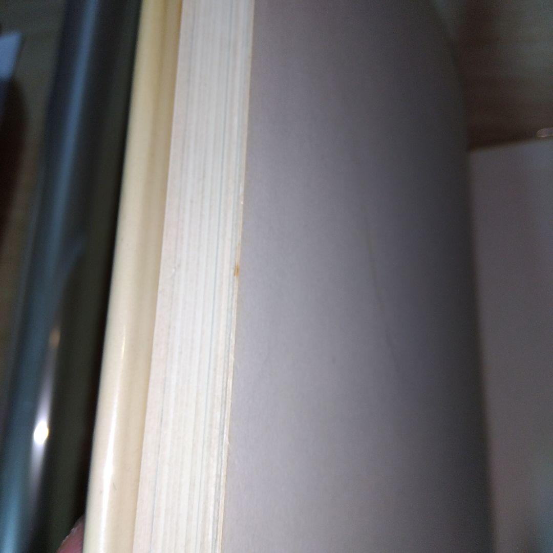 洋書 Carel Fabritius, Complete Edition with a