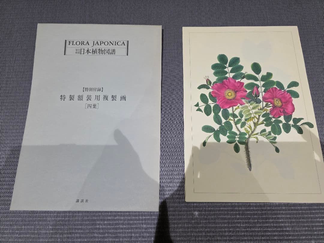 シーボルト著　原色精密 日本植物図譜