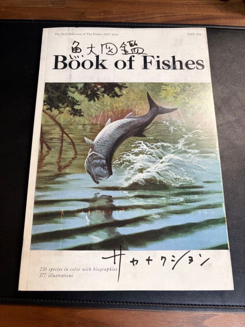 廃盤 サカナクション「魚図鑑」プレミアムBOX 3CDのみ ベスト 怪獣