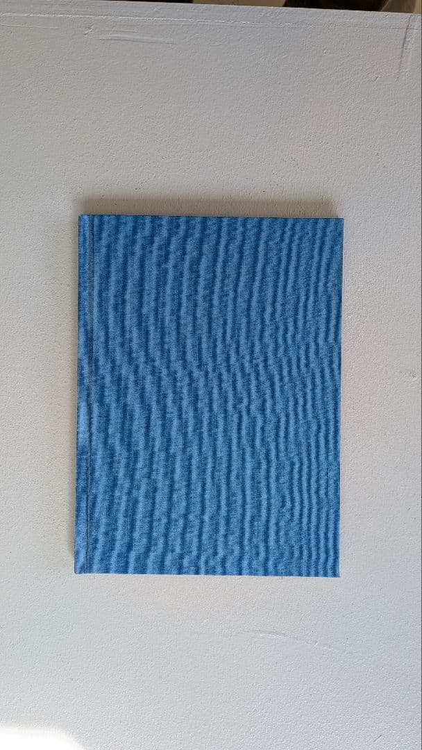 LIFE ADJUSTMENT CENTER　Ryan Mcginley