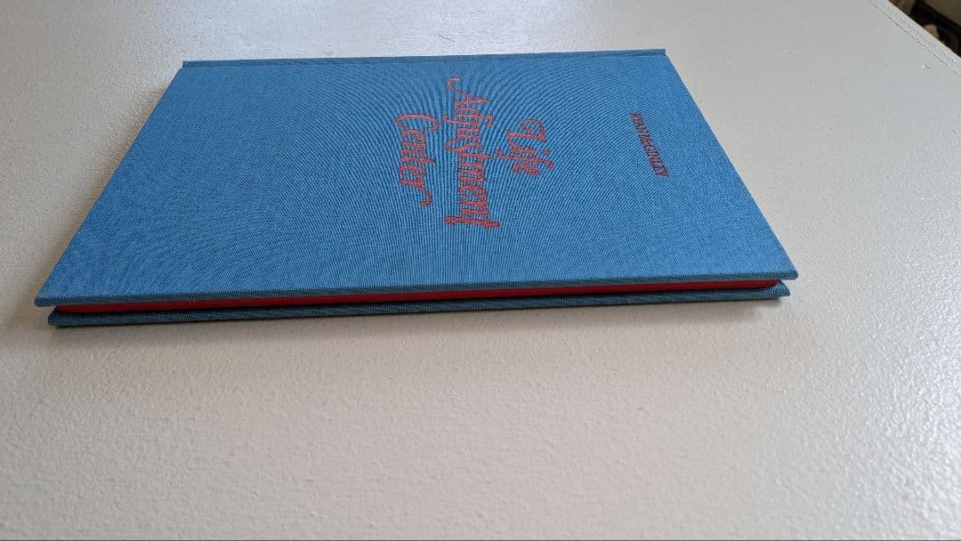 LIFE ADJUSTMENT CENTER　Ryan Mcginley