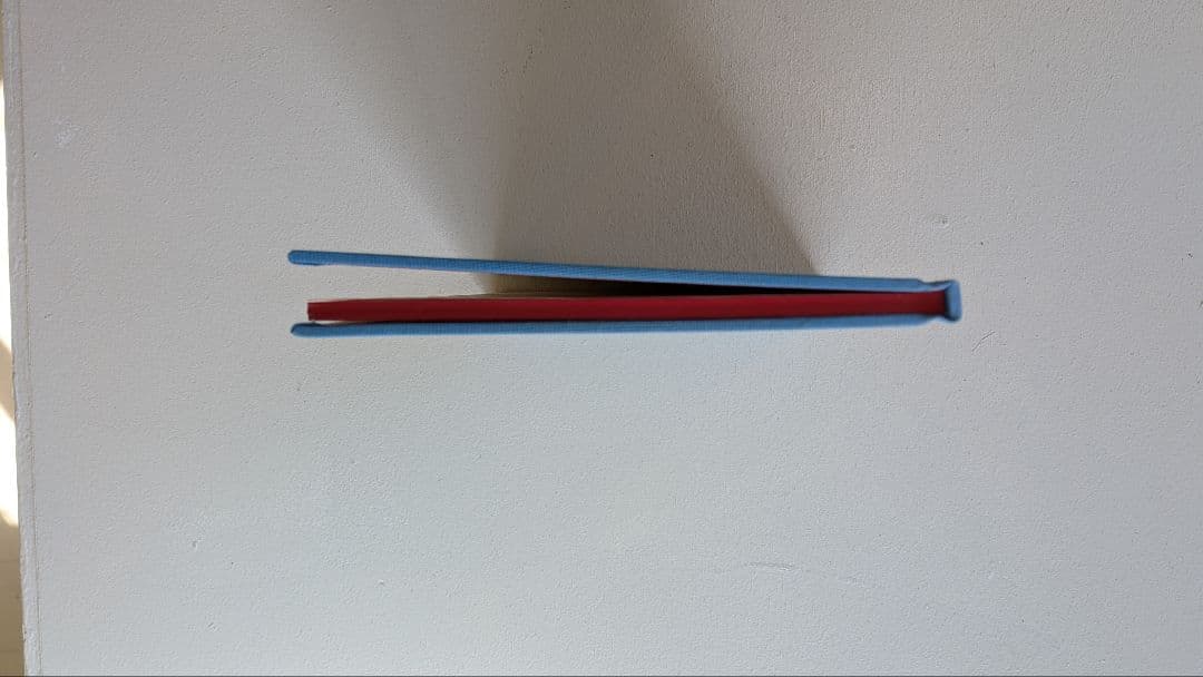 LIFE ADJUSTMENT CENTER　Ryan Mcginley