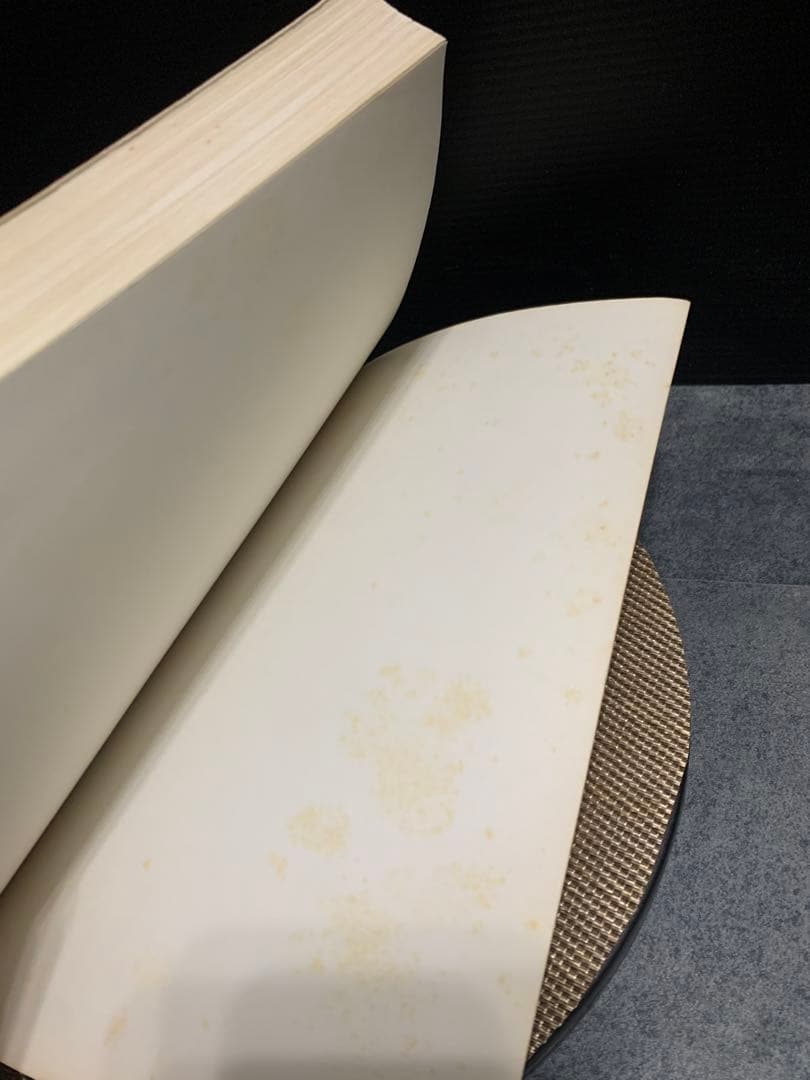 希少　 in Context by David Steinmetz