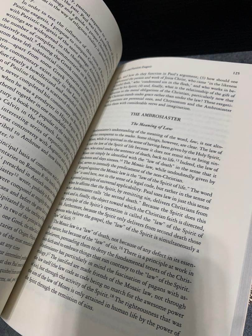 希少　 in Context by David Steinmetz