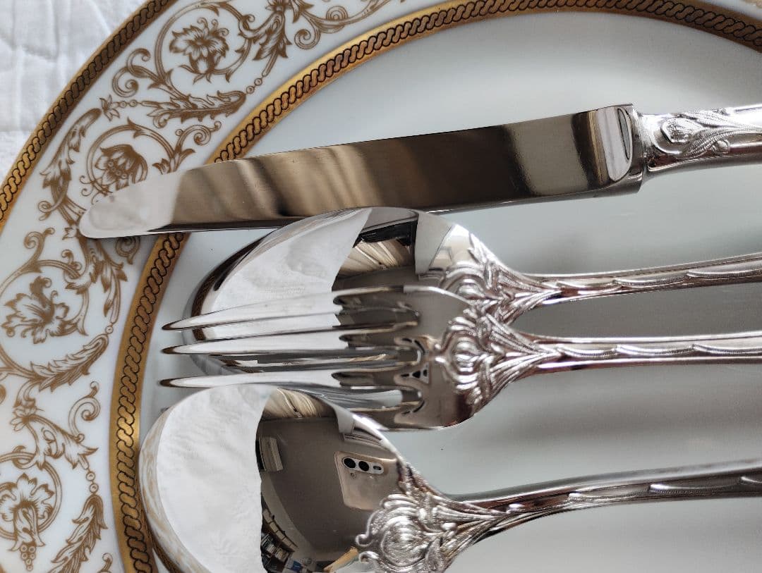 チャウーノパリシリーズ　カトラリー4本×2セット　フェルニオングラス