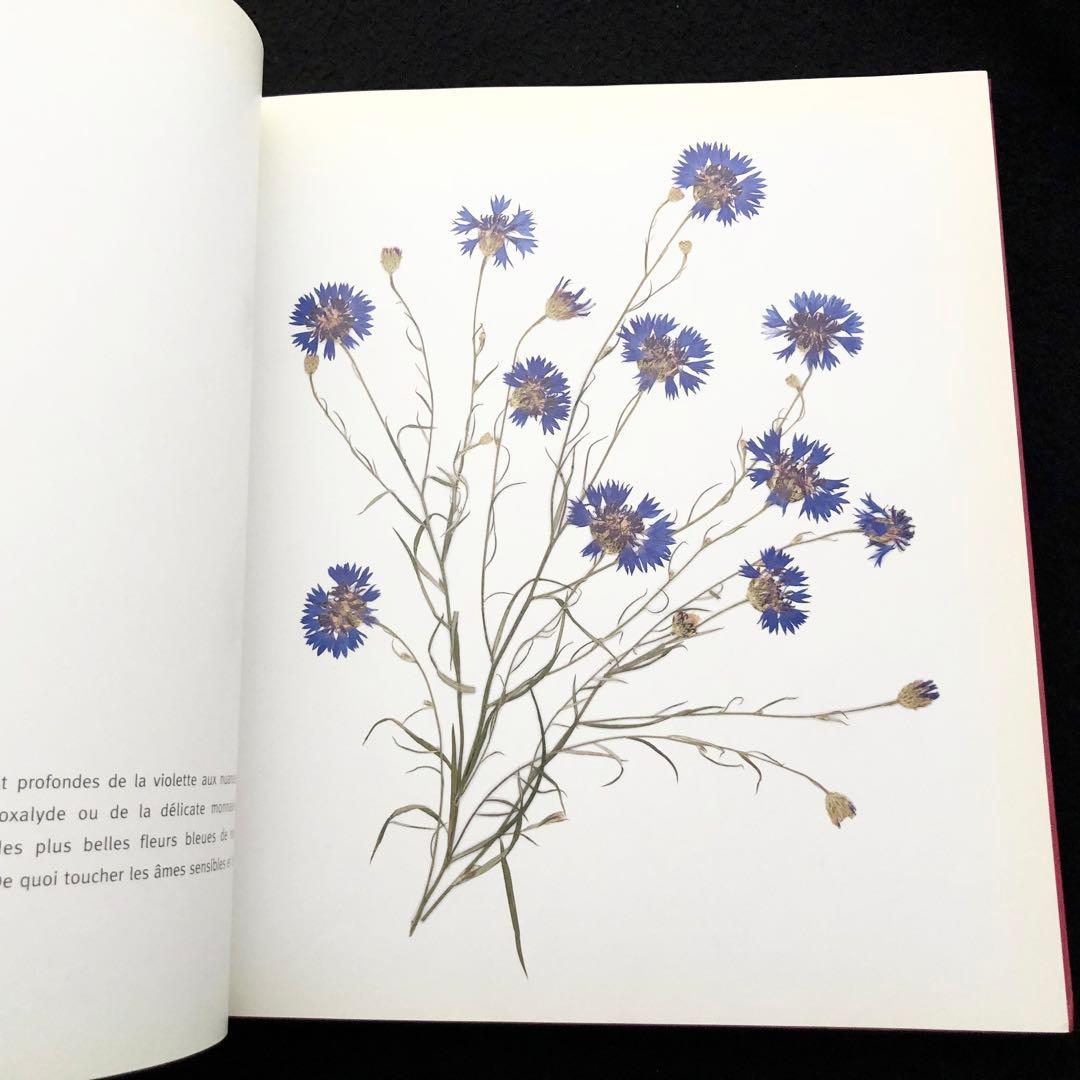 ヴェロニク・アンジャンジェ 図案集「L'herbier du jardin」