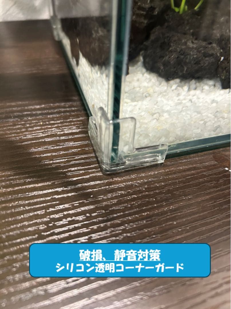 上部濾過槽＋ガラス水槽セット　アクアリウム水槽アクアポニックス仕様上部フィルター