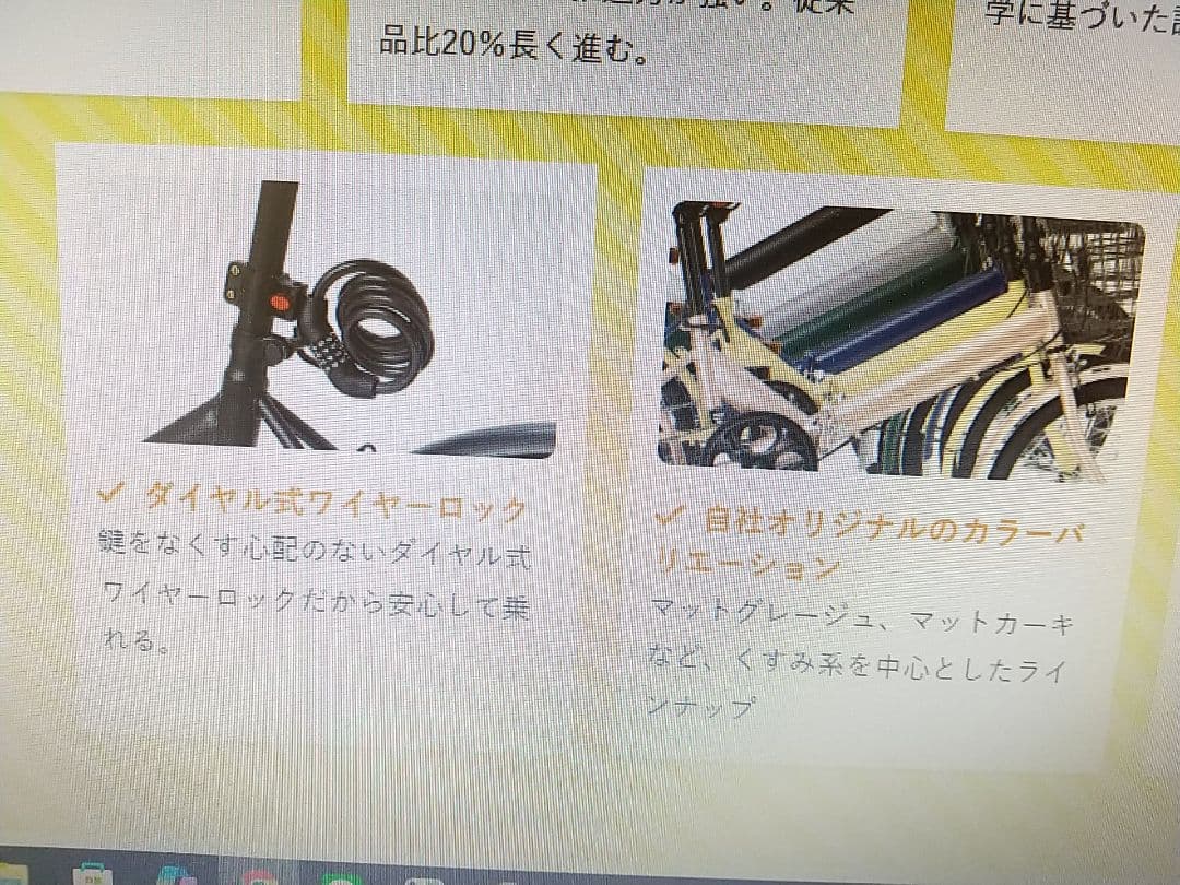 RaQcy 折りたたみ自転車 マットホワイト