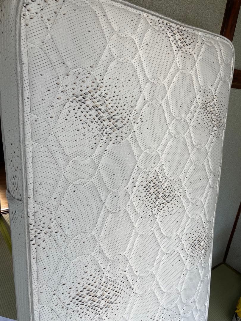 cava2※プロフ必読⭐︎ Beautyrest Golden Value