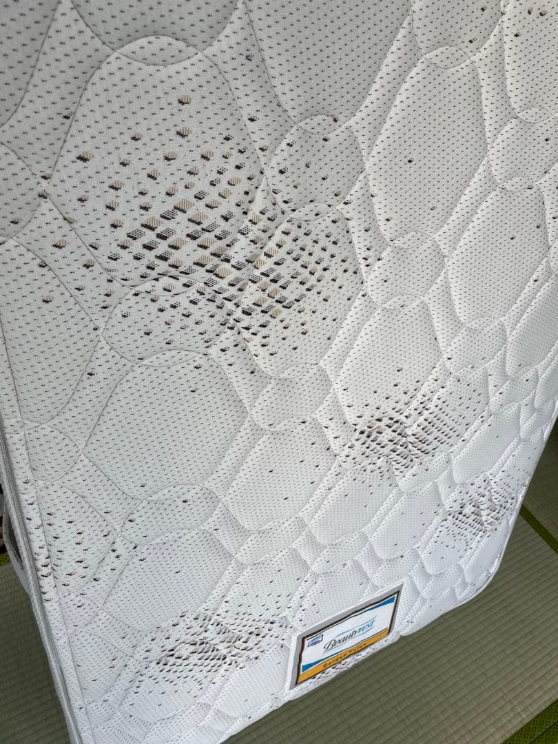 cava2※プロフ必読⭐︎ Beautyrest Golden Value