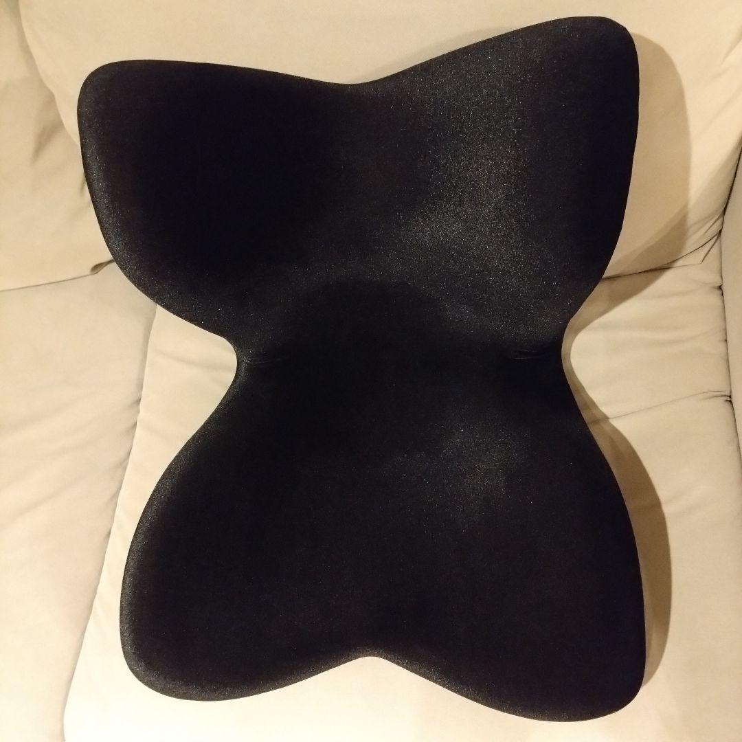 【美品】Style PREMIUM DX スタイルプレミアムデラックス　ブラック