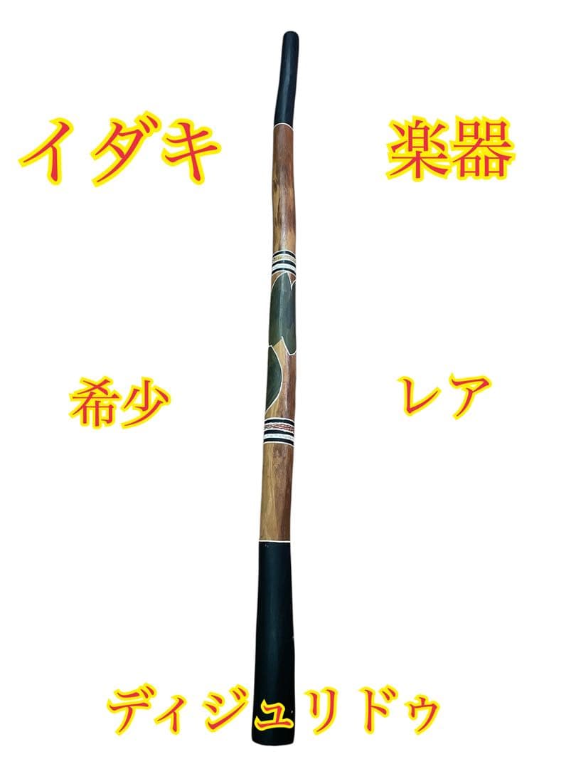 ❷希少 イダキ 楽器 ディジュリドゥ 管楽器 オーストラリア