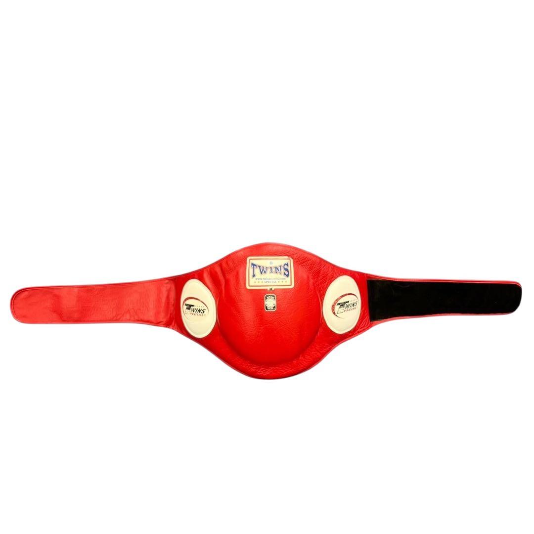 TWINSボディーミット　キック打撃練習　格闘技