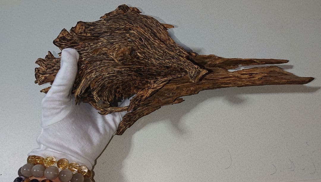 香木 沈香 伽羅 聞香◎品名:ベトナム・フエ産