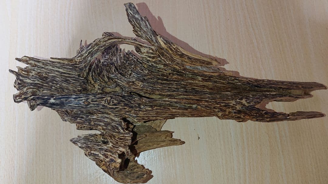 香木 沈香 伽羅 聞香◎品名:ベトナム・フエ産