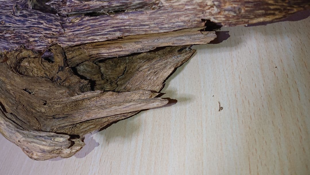 香木 沈香 伽羅 聞香◎品名:ベトナム・フエ産