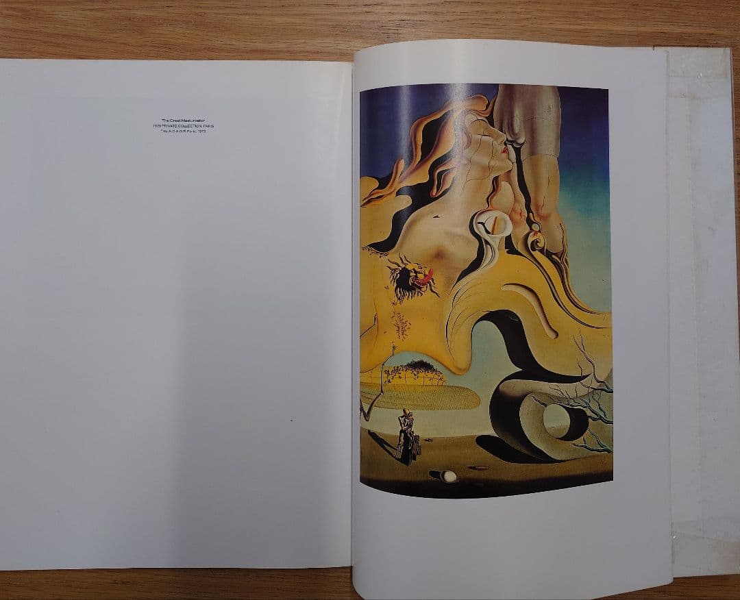 『DALI』 アートブック サルバドール・ダリ